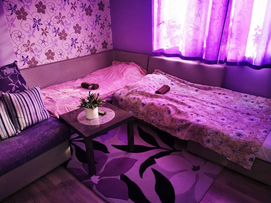 Apartment Lavender, Near To Airport Sofia Esterno foto